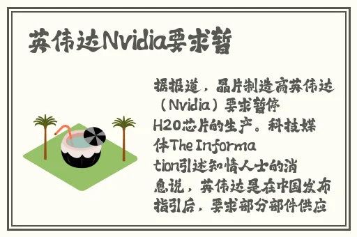 柚子猫情人节的礼物